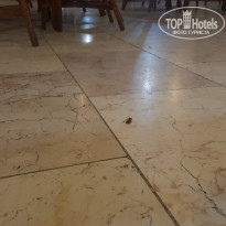 фото из отзыва ID 1583851