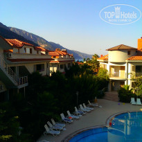 фото из отзыва ID 1583038