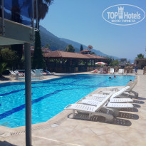 фото из отзыва ID 1583038