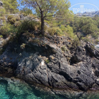 фото из отзыва ID 1583038