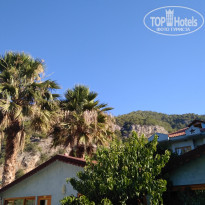 фото из отзыва ID 1587248