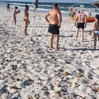 фото из отзыва ID 1587673