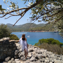 фото из отзыва ID 1587248