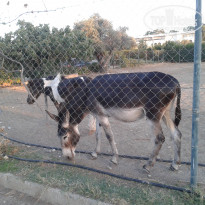 фото из отзыва ID 1589241