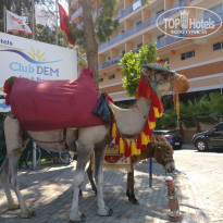 фото из отзыва ID 1591950