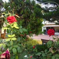 фото из отзыва ID 1591950