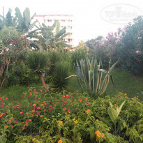 фото из отзыва ID 1592921