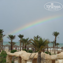 фото из отзыва ID 1593119