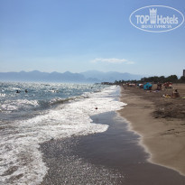 фото из отзыва ID 1593729