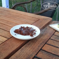 фото из отзыва ID 1594824