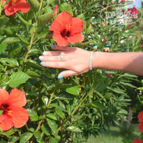 фото из отзыва ID 1594926