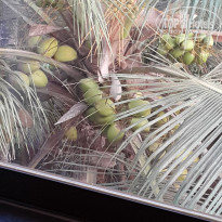 фото из отзыва ID 1598758