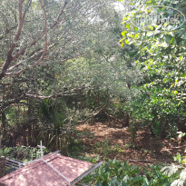 фото из отзыва ID 1598758