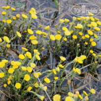 фото из отзыва ID 1602562