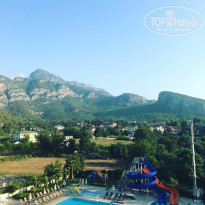 фото из отзыва ID 1606768