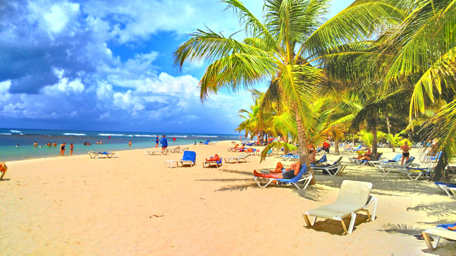 Costa caribe beach 4 венесуэла. Корал Коста Карибе Доминикана. Coral Costa Caribe Resort. Корал Коста Карибе дорога из Пунта Каны. Coral Costa Caribe Resort туры из Беларусь.