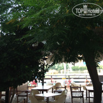 фото из отзыва ID 1625862