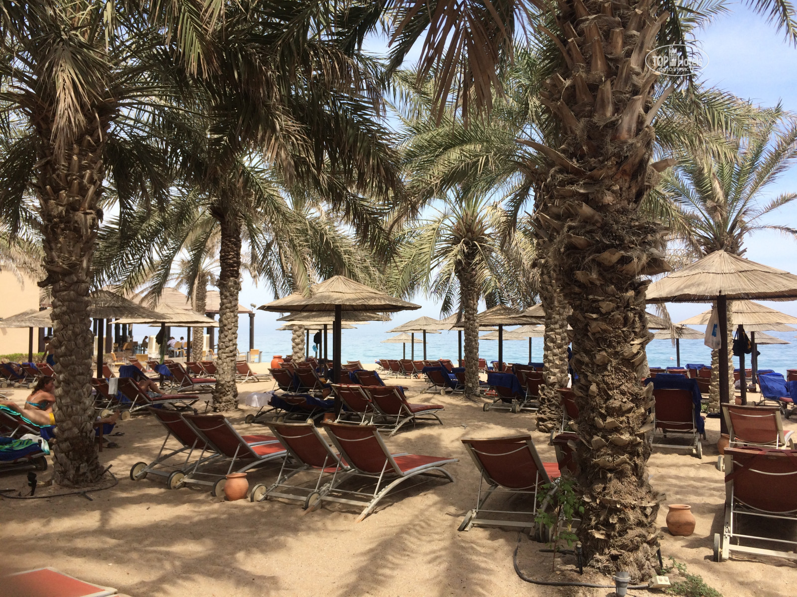 miramar al aqah beach resort 5 оаэ фуджейра