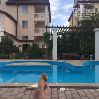 фото из отзыва ID 1628149