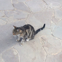 фото из отзыва ID 1628149