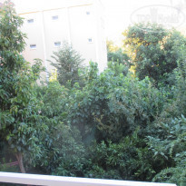 фото из отзыва ID 1632549