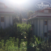 фото из отзыва ID 1644925