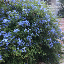 фото из отзыва ID 1644925