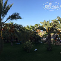 фото из отзыва ID 1645568