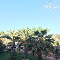 фото из отзыва ID 1645568