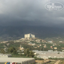 фото из отзыва ID 1646591