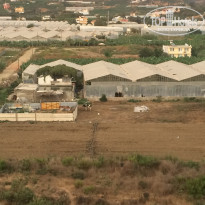 фото из отзыва ID 1646591