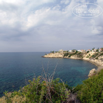 фото из отзыва ID 1648701