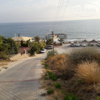 фото из отзыва ID 1649694