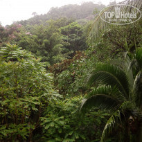 фото из отзыва ID 1646575