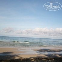 фото из отзыва ID 1646575