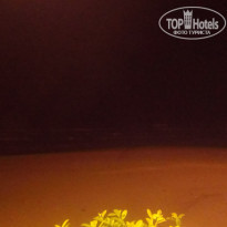 фото из отзыва ID 1646575