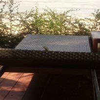 фото из отзыва ID 1646575