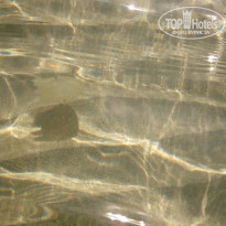 фото из отзыва ID 1646575