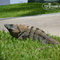 фото из отзыва ID 1641391