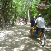 фото из отзыва ID 1641391