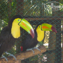 фото из отзыва ID 1641391