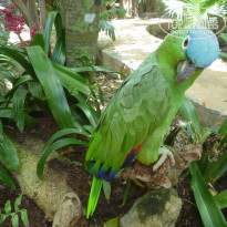 фото из отзыва ID 1641391