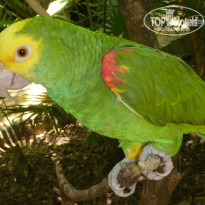 фото из отзыва ID 1641391