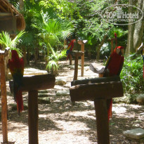 фото из отзыва ID 1641391