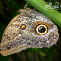 фото из отзыва ID 1641391