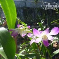 фото из отзыва ID 1641391