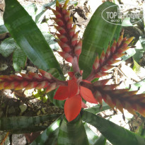 фото из отзыва ID 1641391