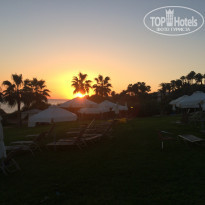 фото из отзыва ID 1650889