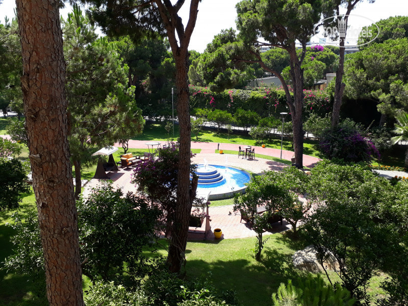 Отель пайн бич белек турция. Пайн бич отзывы. Pine beach belek 5 турция белек. Пайн бич отзывы. Отель pine beach.