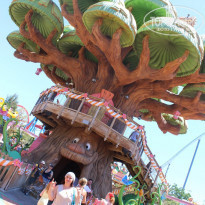 фото из отзыва ID 1655102